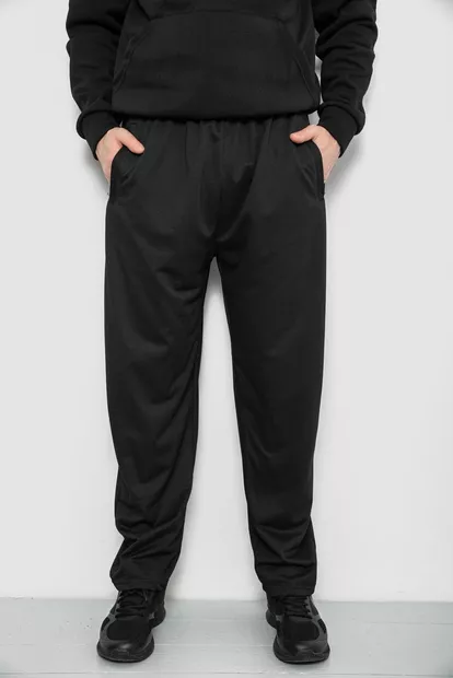 Спортивные штаны мужские, цвет черный, 244R41399
