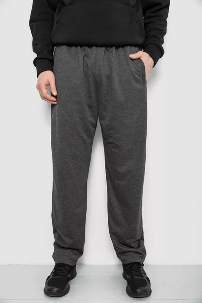 Спортивные штаны мужские, цвет серый, 244R41399