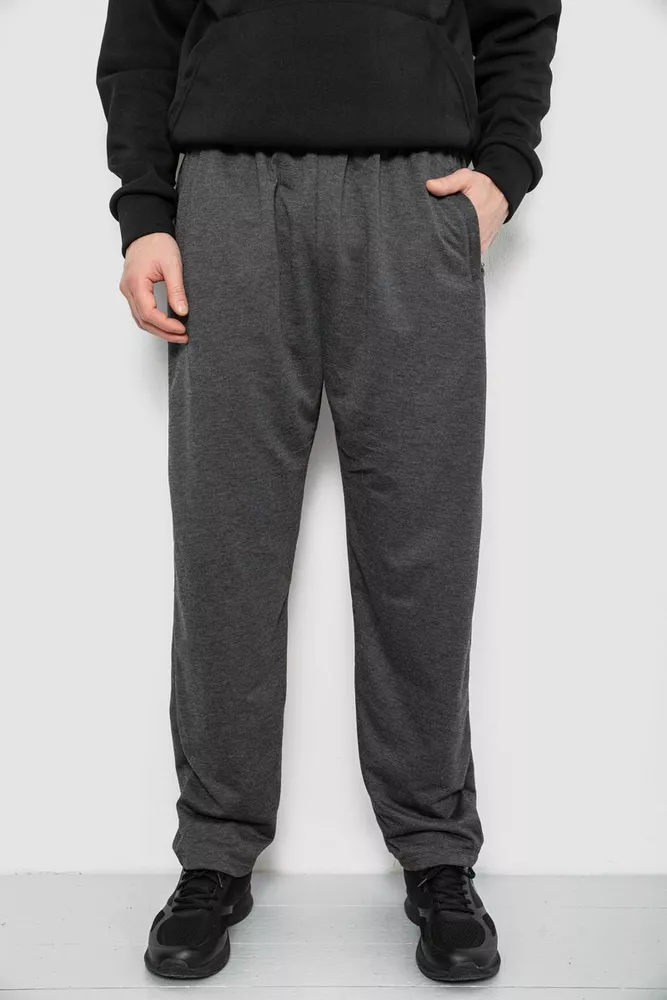 Купить Спортивные штаны мужские, цвет серый, 244R41399 - Фото №1
