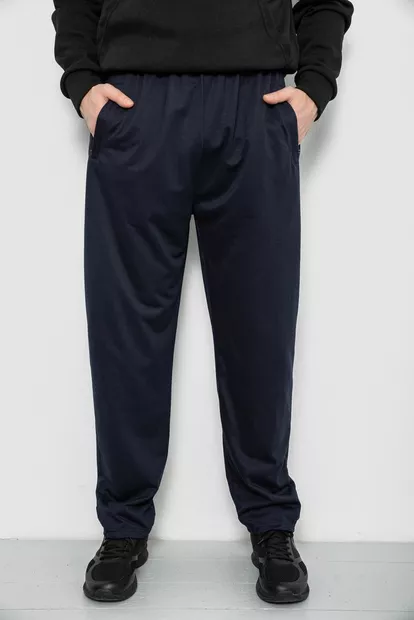 Спортивные штаны мужские, цвет синий, 244R41399