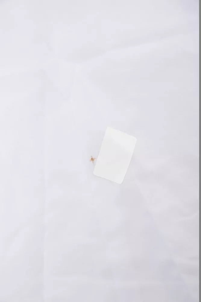 Купить Блуза класичесская  -уценка, цвет бело-синий, 230R081-U-5 - Фото №6