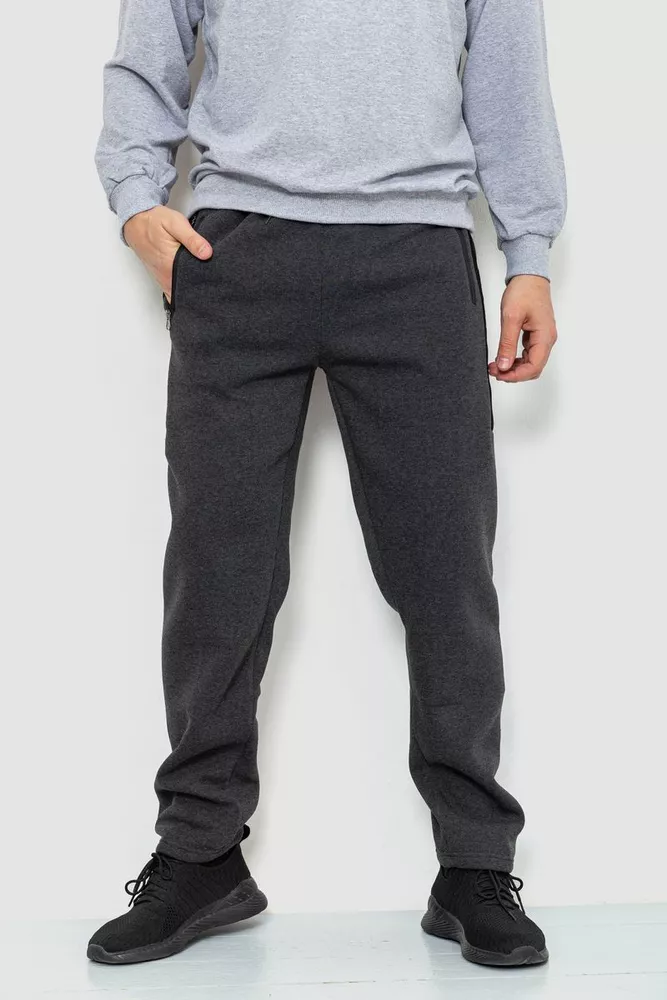 Купить Спорт штаны мужские на флисе, цвет темно-серый, 244R41153 - Фото №1