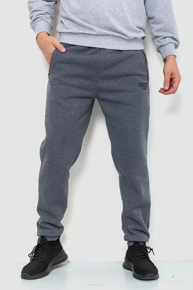 Купить Спорт штаны мужские на флисе, цвет серый, 244R41515 - Фото №1