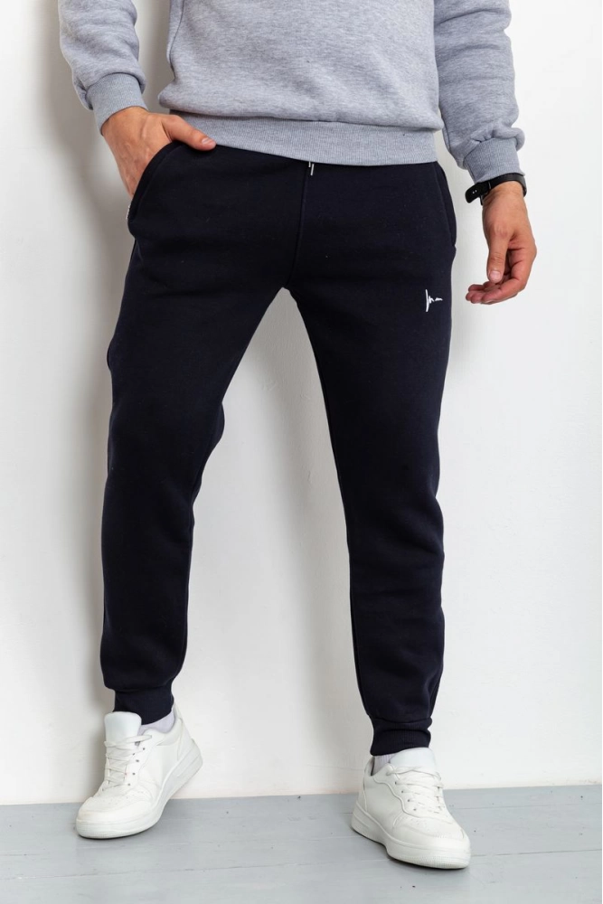 Купить Спорт штаны мужские на флисе, цвет темно-синий, 211R2078 - Фото №1