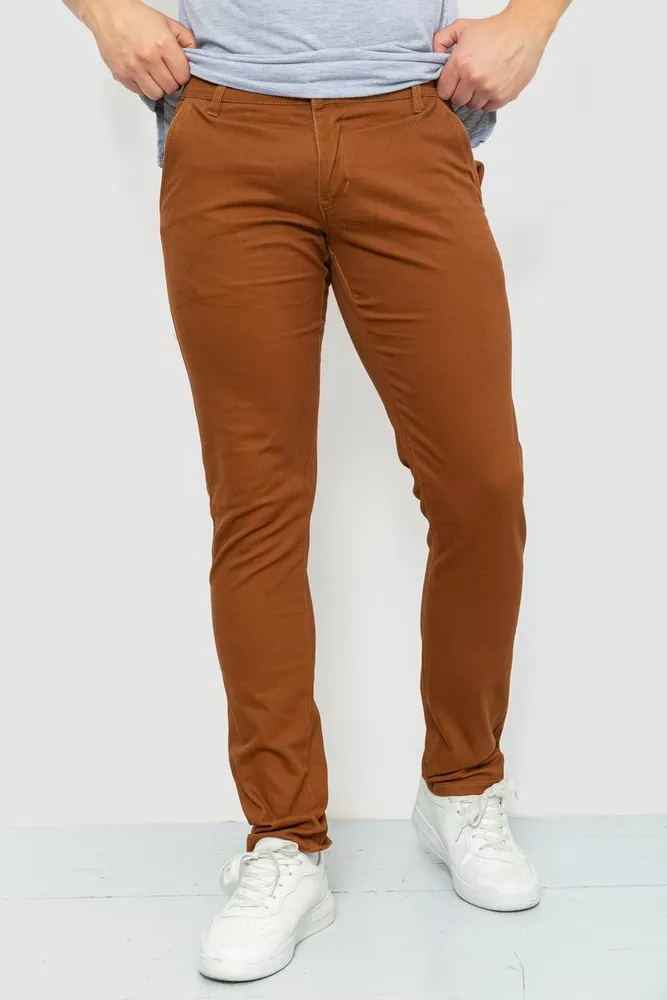 Купить Брюки мужские классические, цвет коричневый, 243R2015 - Фото №1