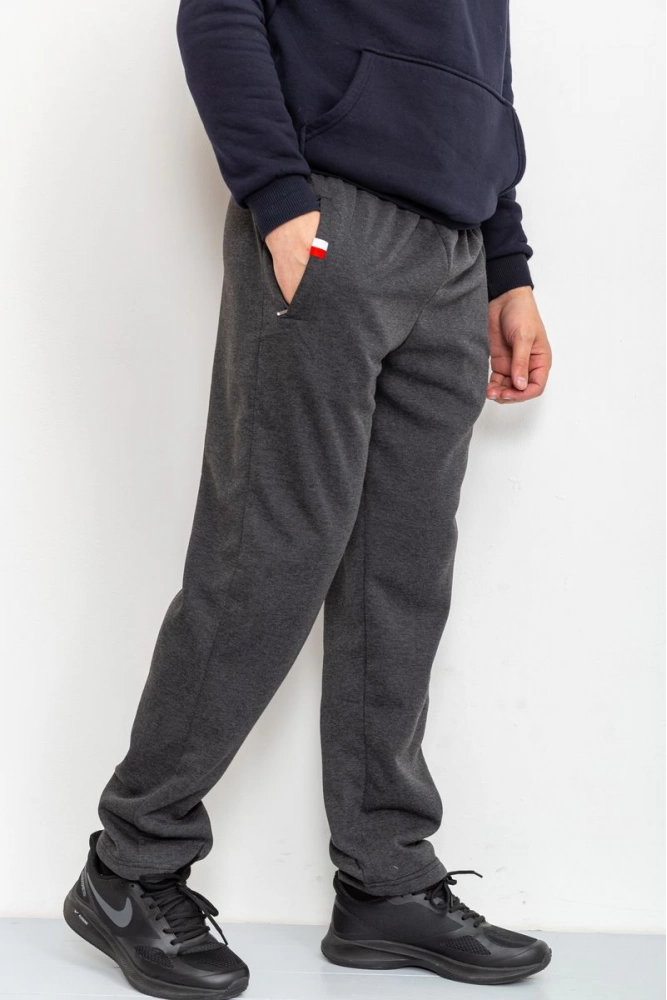 Купить Спорт штаны мужские на флисе, цвет грифельный, 184R8414 - Фото №1