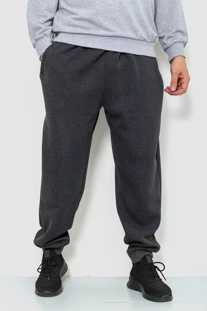 Купить Спорт штаны мужские на флисе, цвет темно-серый, 244R4868 - Фото №1
